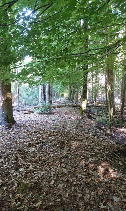 Meyers Hausstelle - Waldcafé & Restaurant mit Biergarten Rostocker Heide